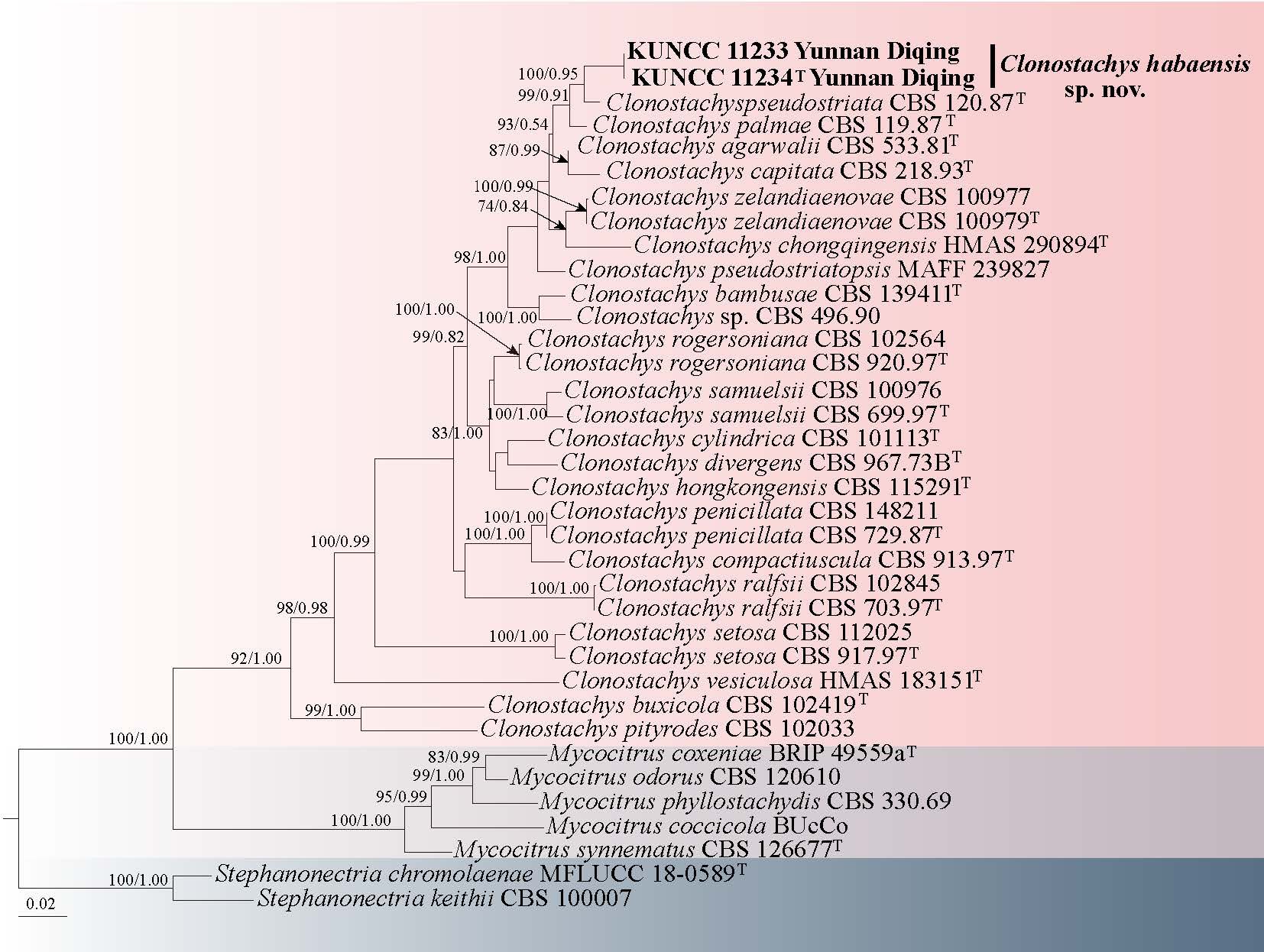 Figure 52